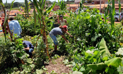 Senado propõe facilitar acesso ao crédito para comunidades rurais