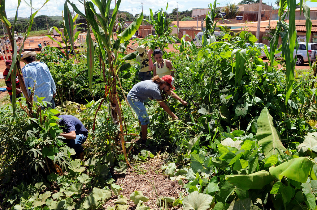 Senado propõe facilitar acesso ao crédito para comunidades rurais