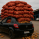 Ford Ka 'abarrotado' de batatas vira sensação na internet