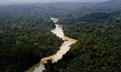 Fundo Amazônia Registra Recorde em Aprovação de Projetos em 2025