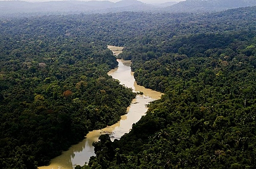 Fundo Amazônia Registra Recorde em Aprovação de Projetos em 2025