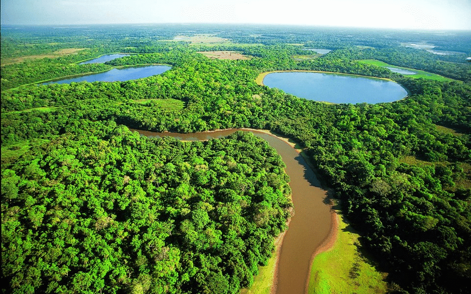 Turismo impulsiona economia e preservação no Pantanal mato-grossense