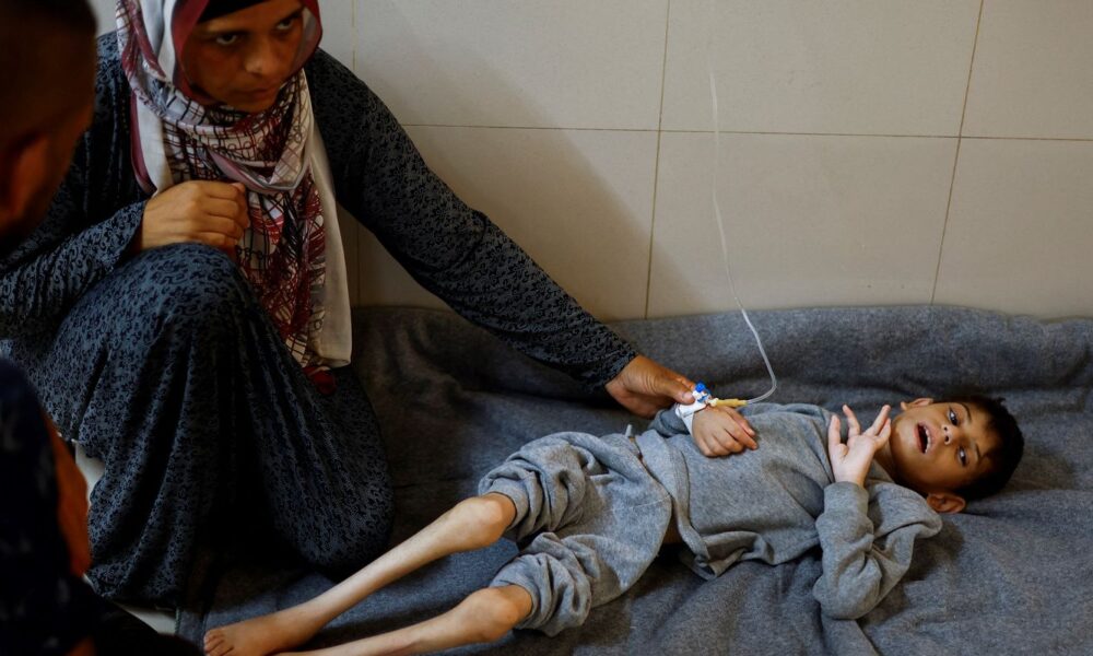 Fome na Faixa de Gaza: Uma Catástrofe Humanitária Sem Precedentes