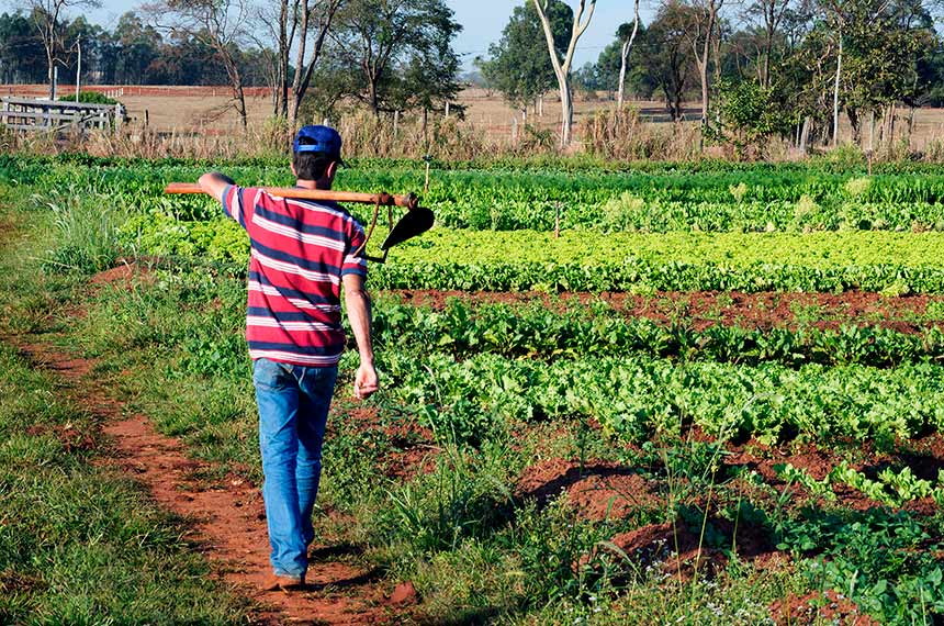 Nova Lei Promove Política Nacional de Juventude e Sucessão Rural