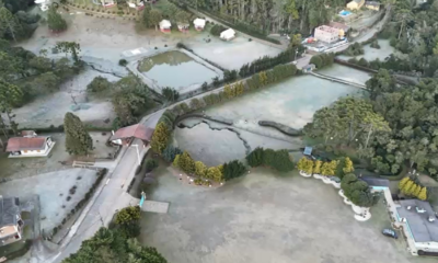 Geada em Monte Verde: Registro de Frio Intenso no Sul de Minas