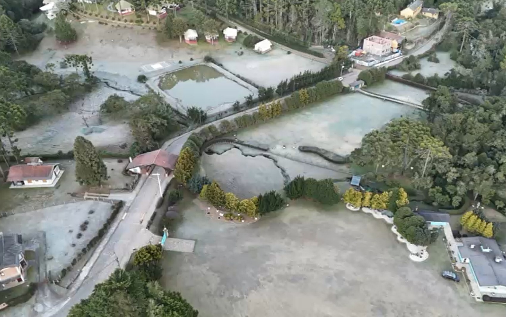 Geada em Monte Verde: Registro de Frio Intenso no Sul de Minas