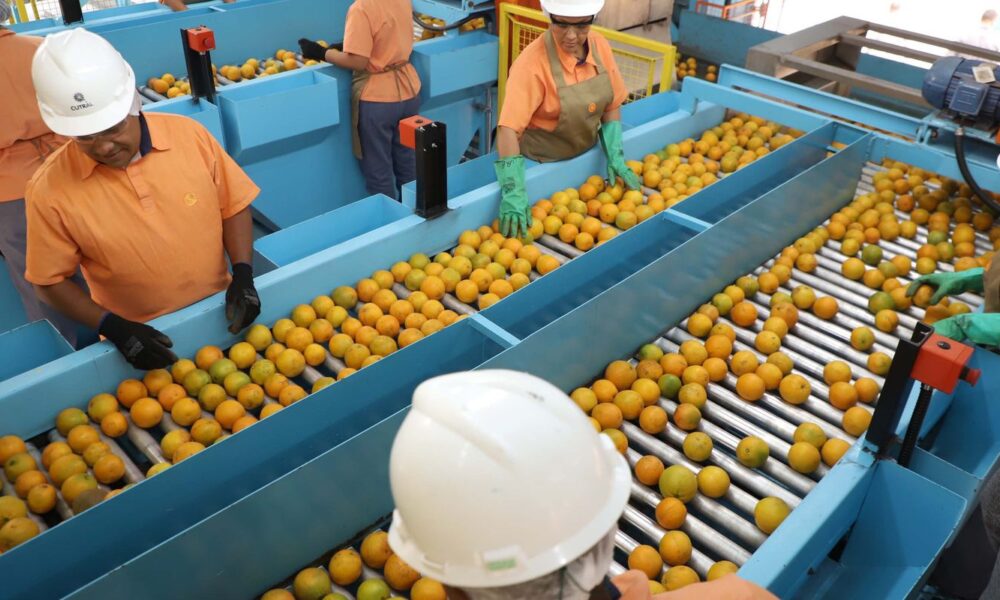 Tarifa de Importação dos EUA Atinge Produtos Brasileiros em 50%