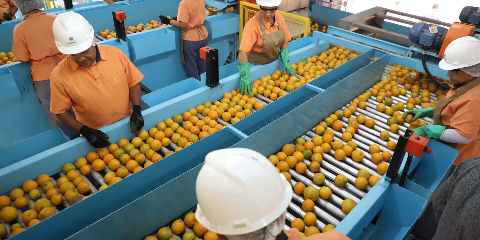 Tarifa de Importação dos EUA Atinge Produtos Brasileiros em 50%
