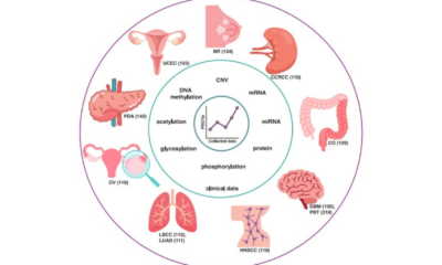 Avanços na Pesquisa do Câncer: Novo Modelo Através da Análise de Proteínas