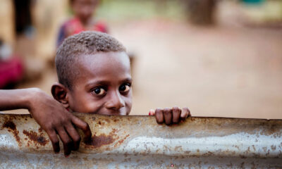 A Luta Contra a Fome no Brasil: Desafios e Realidades