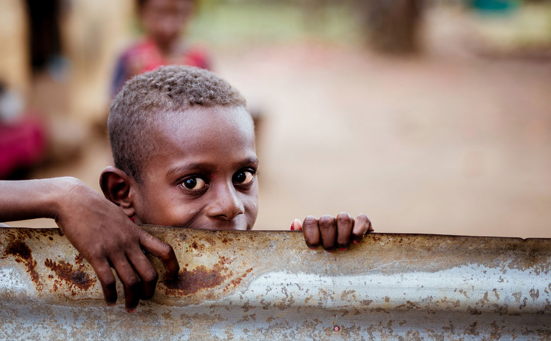 A Luta Contra a Fome no Brasil: Desafios e Realidades
