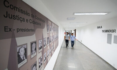 Senado Retoma Avaliações de Indicações para Cargos Estratégicos