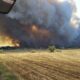 Incêndio Florestal em Ribaute: Bombeiros Enfrentam Desafios nas Chamas
