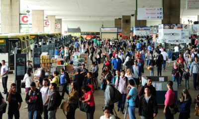 Desemprego no Distrito Federal: Taxa de 8,7% e a Falta de Informações Atualizadas