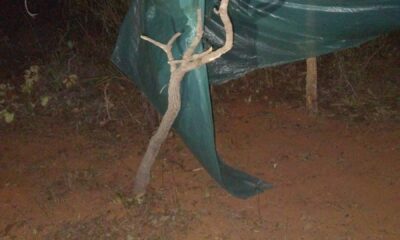 Polícia Militar do DF Realiza Operação Contra Desmatamento Ilegal em Planaltina