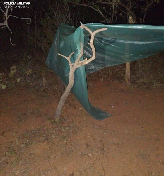 Polícia Militar do DF Realiza Operação Contra Desmatamento Ilegal em Planaltina