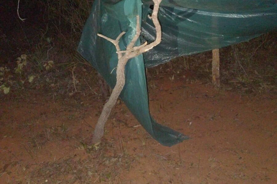 Polícia Militar do DF Realiza Operação Contra Desmatamento Ilegal em Planaltina