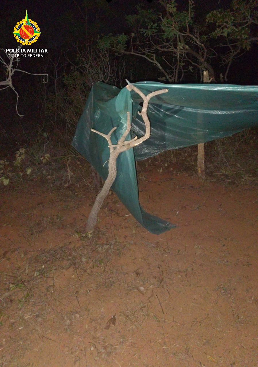 Polícia Militar do DF Realiza Operação Contra Desmatamento Ilegal em Planaltina