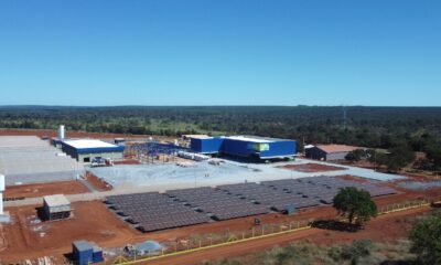 Projeto de Plantio de Macaúba em Montes Claros Seleciona Agricultores