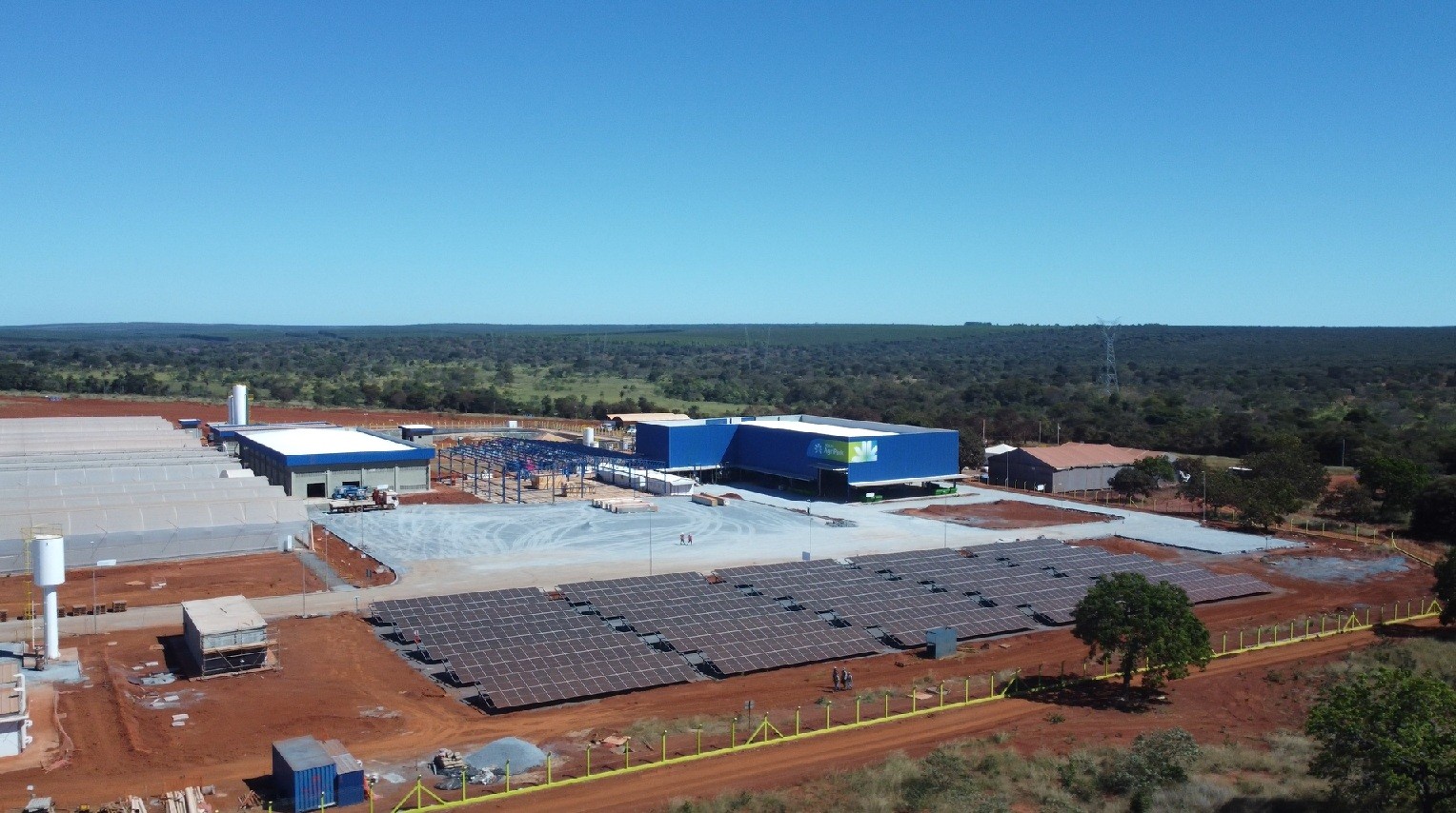 Projeto de Plantio de Macaúba em Montes Claros Seleciona Agricultores
