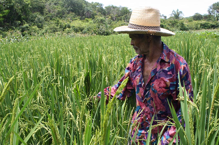 Região Norte Receberá R$ 38 Milhões em Crédito Extraordinário para Assistência Técnica e Extensão Rural