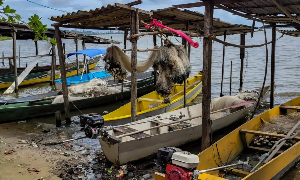 Mudanças no Seguro-Defeso: Ministério do Trabalho Assume Habilitação a partir de Outubro
