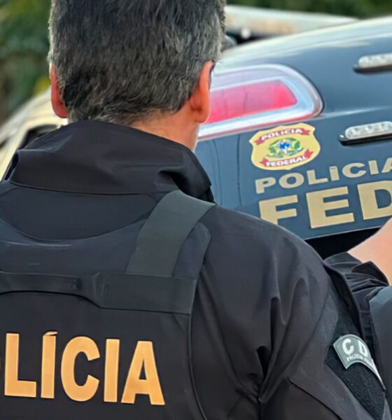 Apreensões no Aeroporto de Guarulhos: Polícia Federal Interrompe Tráfico de Drogas e Animais Silvestres