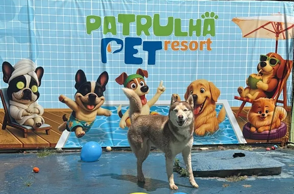 Patrulha Pet Resort, antigo Pet Hotel Park Way, oferece hotel, escola, adestramento, natação e cuidados veterinários para cães em Brasília.