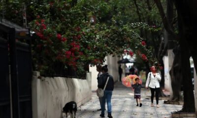 Previsão do Tempo: Chuva e Instabilidade em São Paulo até o Domingo