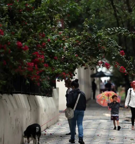 Previsão do Tempo: Chuva e Instabilidade em São Paulo até o Domingo