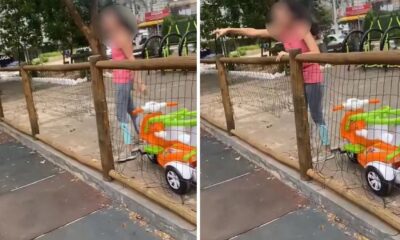 Investigação Revela Pânico no Parque: Entenda o Que Realmente Aconteceu