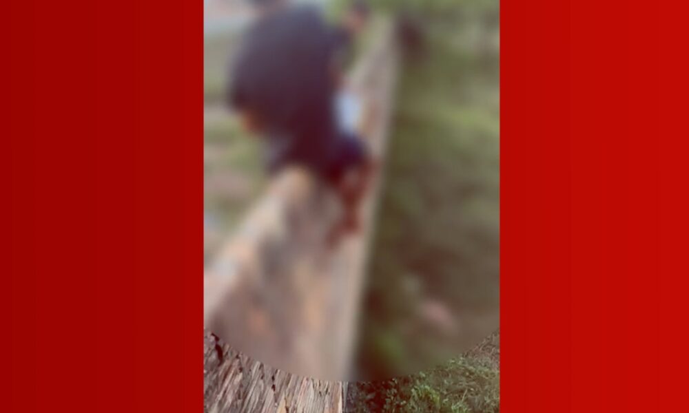 Criança é Ataque por Porco Selvagem em Governador Nunes Freire, Maranhão