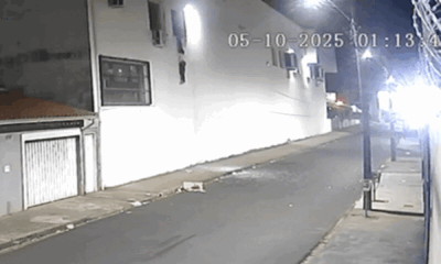 Incidente em Supermercado é Registrado por Câmeras de Segurança