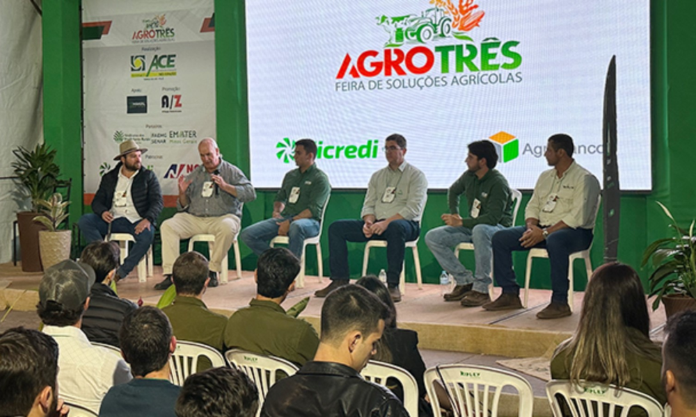 Desafios Climáticos Afetam Safra de Abacate em 2025