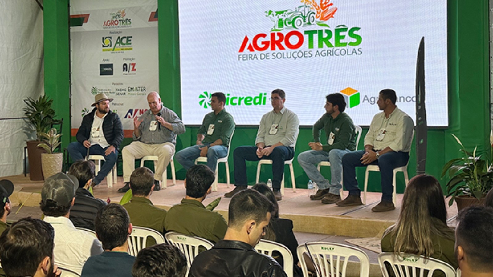 Desafios Climáticos Afetam Safra de Abacate em 2025