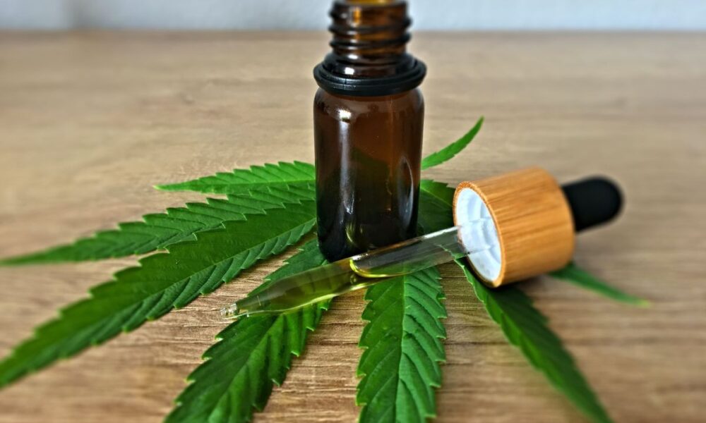 Avanços na Cannabis Medicinal: R$ 1,25 Milhão em Projetos Aprovados