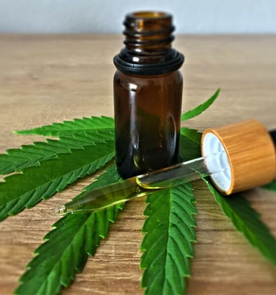 Avanços na Cannabis Medicinal: R$ 1,25 Milhão em Projetos Aprovados