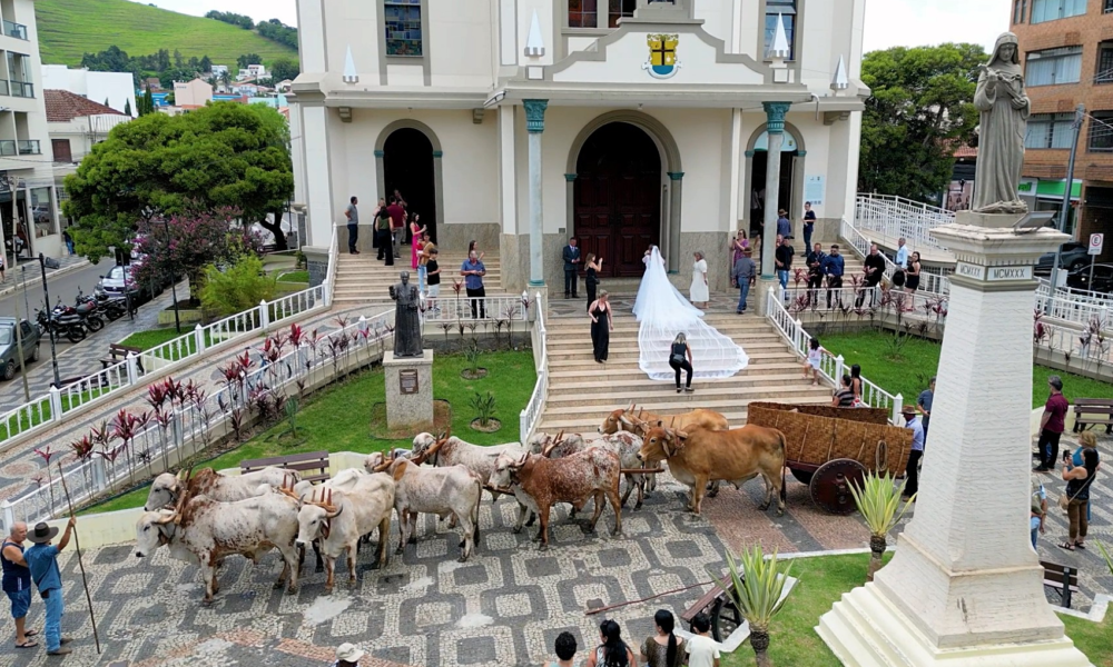 Estatísticas do Registro Civil de 2024: Nascimentos, Casamentos, Divórcios e Óbitos no Brasil