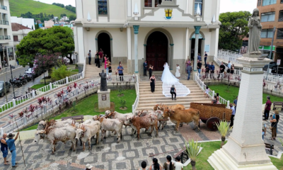 Estatísticas do Registro Civil de 2024: Nascimentos, Casamentos, Divórcios e Óbitos no Brasil