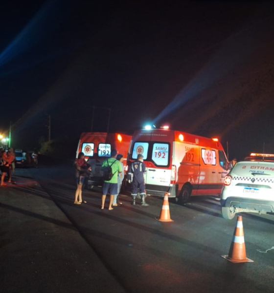 Piauí Registra Altos Índices de Acidentes com Animais Soltos nas Vias