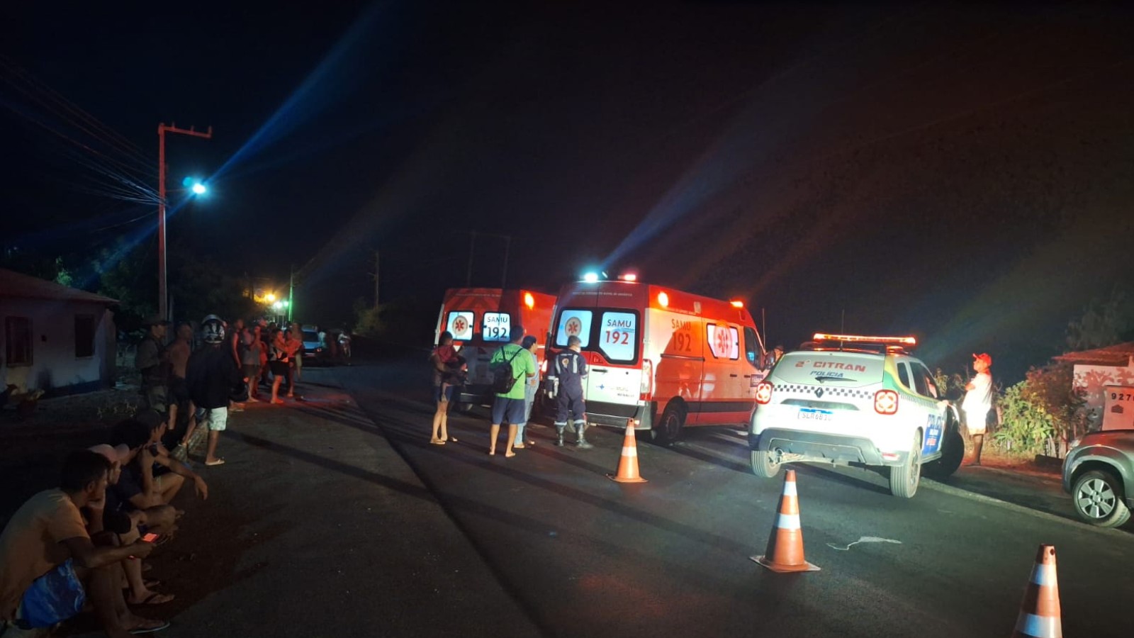 Piauí Registra Altos Índices de Acidentes com Animais Soltos nas Vias