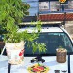 Homem é preso por tráfico de drogas no Itapoã, DF