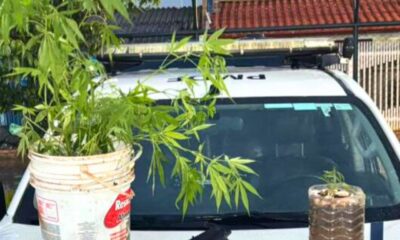 Ação Policial no Itapoã: Suspeito de Tráfico de Drogas é Detido pela PM do DF