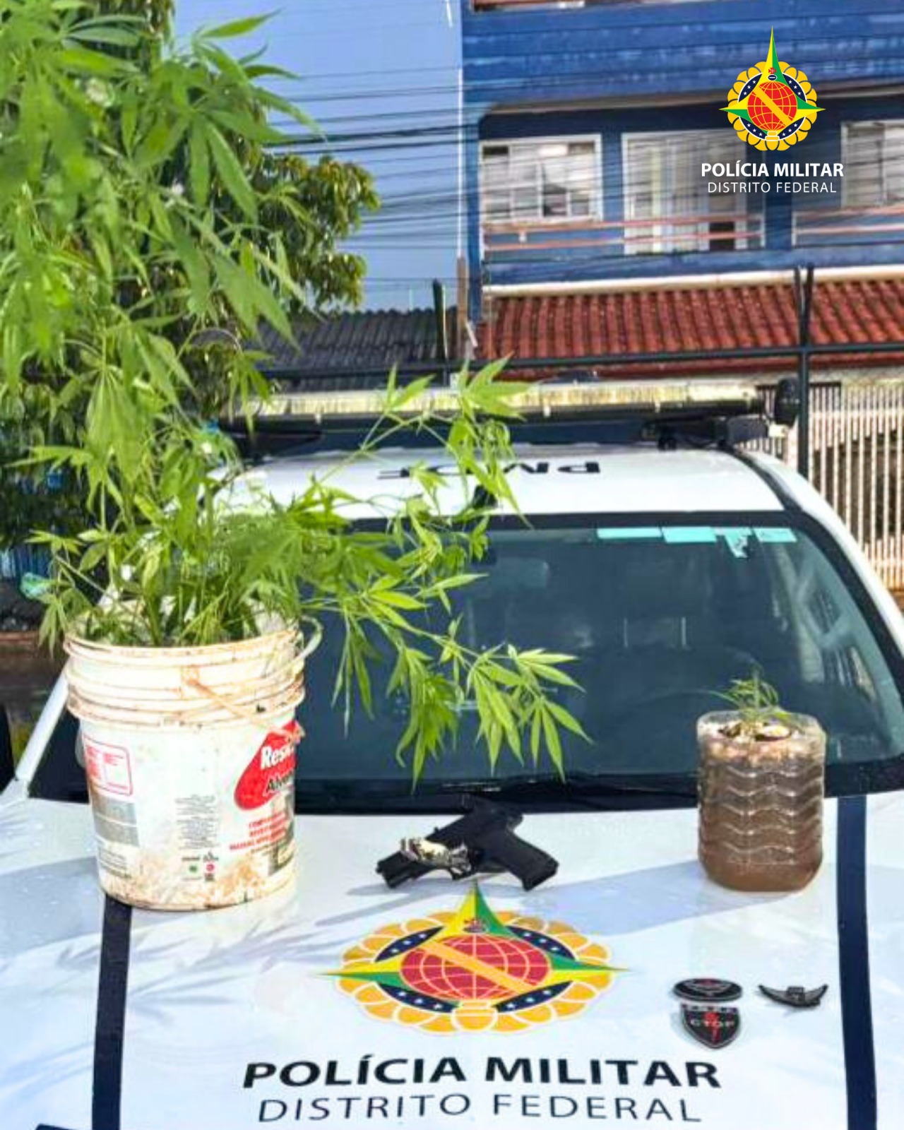 Ação Policial no Itapoã: Suspeito de Tráfico de Drogas é Detido pela PM do DF