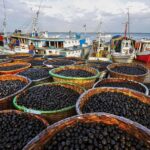 Açaí é reconhecido como fruta nacional pela nova lei de 2026
