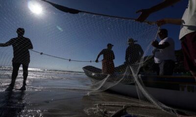 Senado Analisa Programa de Combate e Prevenção ao Câncer de Pele