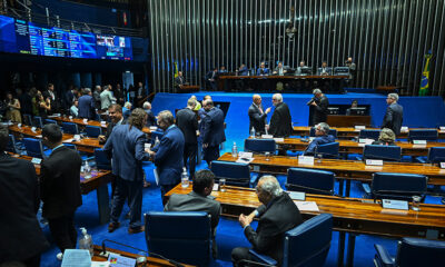 Senado vota Medidas Provisórias para combate a pragas e ajuda a famílias de baixa renda