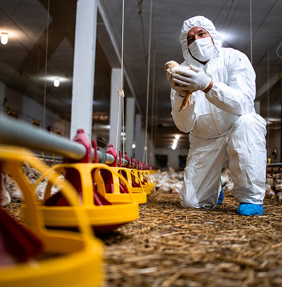 Crédito Extraordinário de R$ 83,5 Milhões: Reforma na Defesa Agropecuária Brasileira